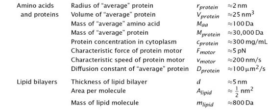 778_Amino acid.jpg